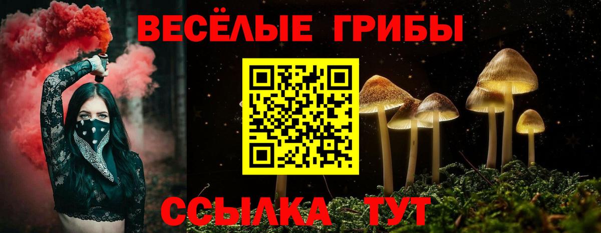 Псилоцибиновые грибы MAGIC MUSHROOMS  Вход с VPN  наркошоп  Псилоцибиновые грибы MAGIC MUSHROOMS  Будённовск 